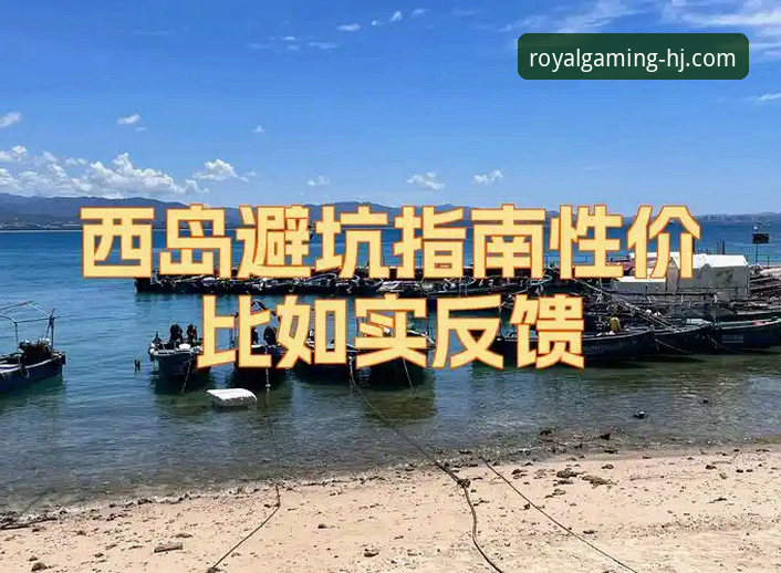 2026皇家国际平台安全吗 2026皇家国际平台安全吗:从用户反馈到功能解析的完整使用指南