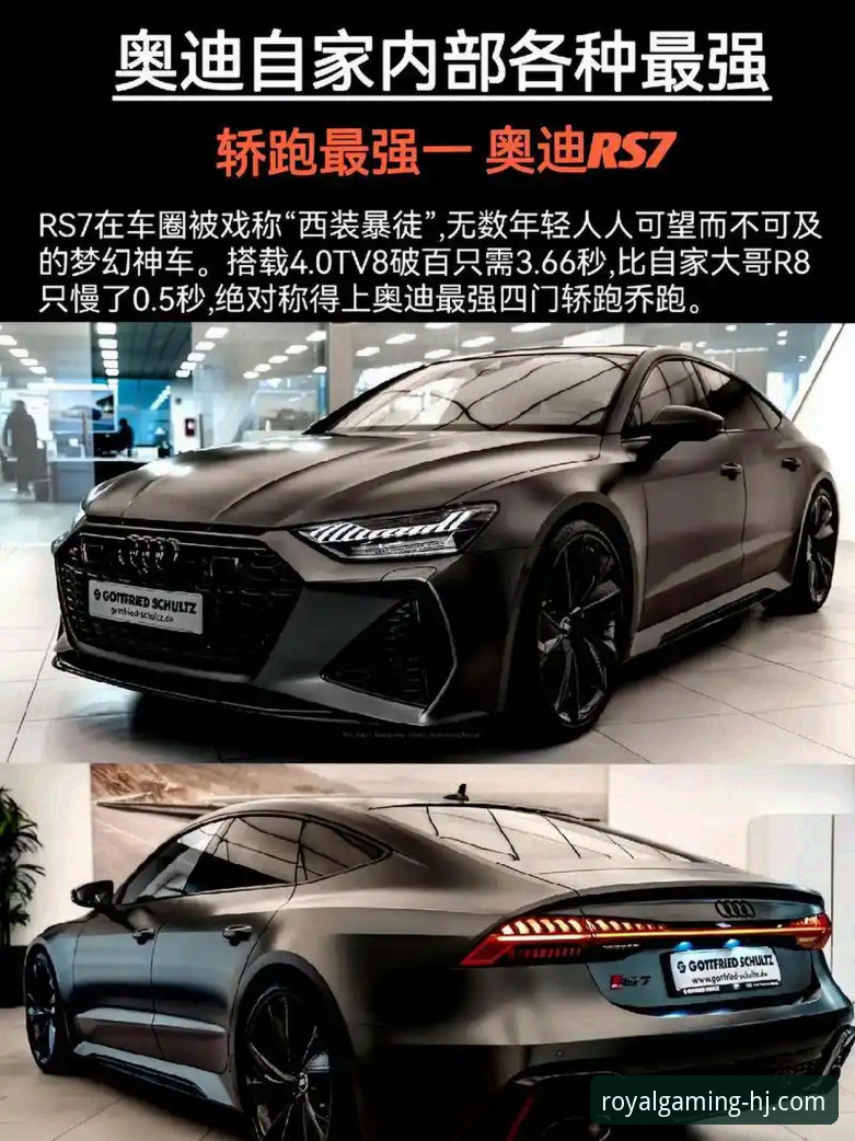皇家国际平台介绍 5个关键维度解析皇家国际平台介绍:技术评测视角下的R8K3版本体验