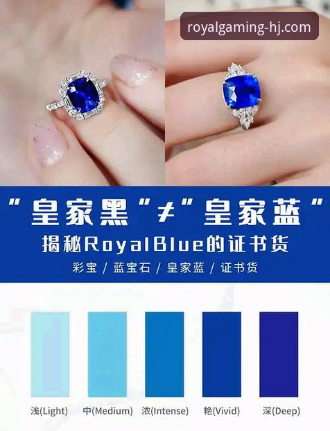 揭秘皇家国际平台使用教程背后的真相：从开户到尊享体验的完整指南